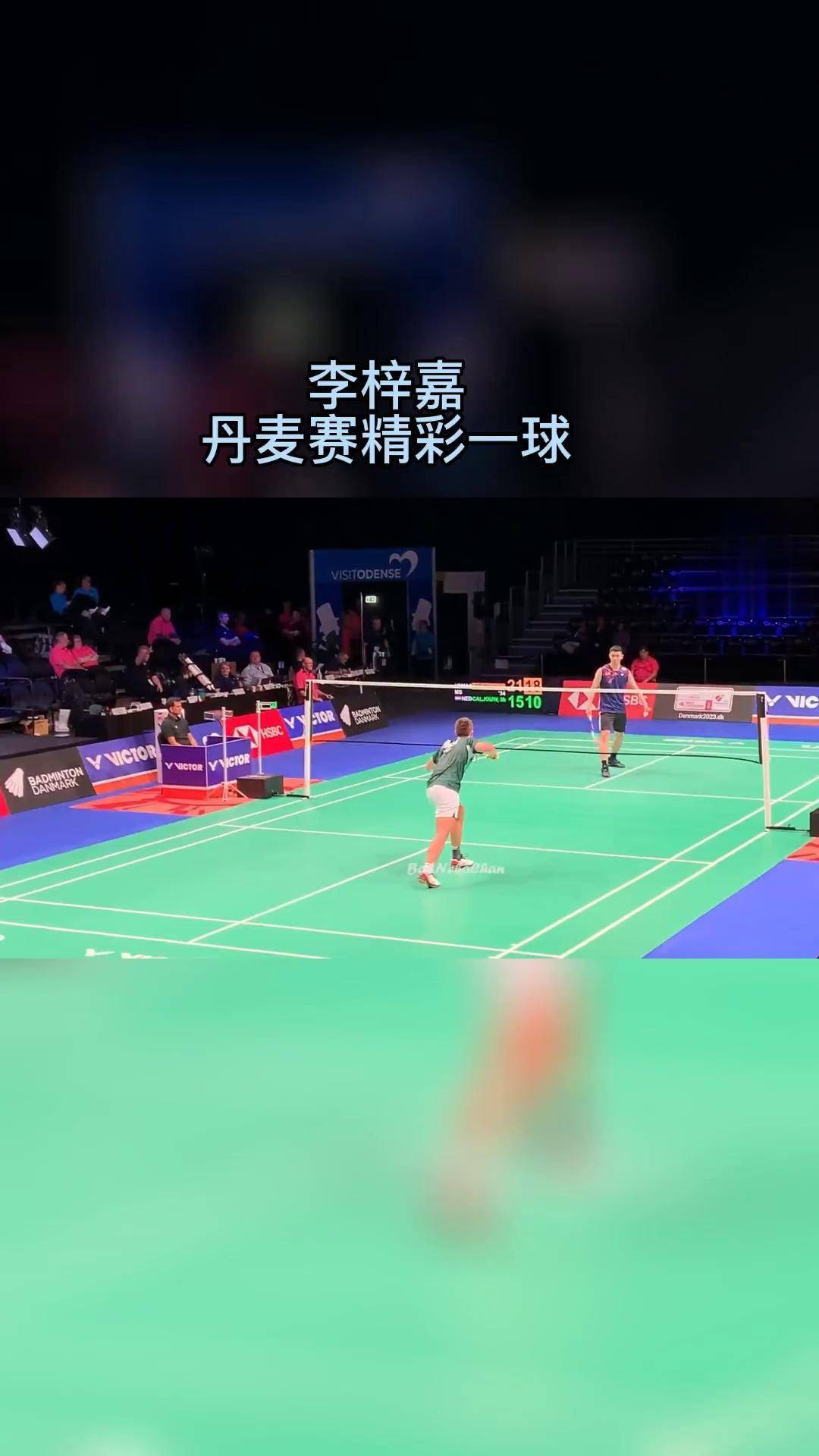 法国队轻取丹麦队，李梓嘉高光表现